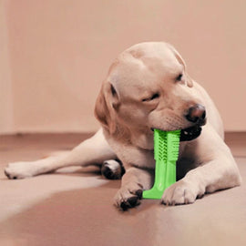 Hundtandborste för husdjur