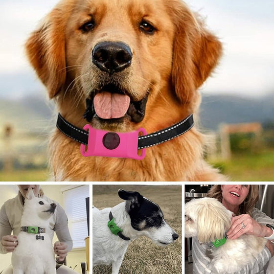 Lopp- och fästinghalsband – Skydd i 12 månader