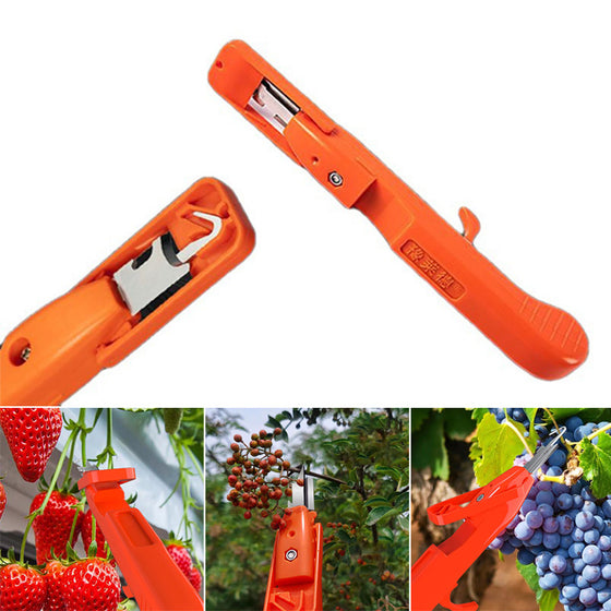 Effektivt verktyg för att samla frukt