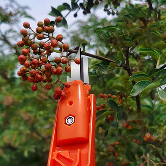 Effektivt verktyg för att samla frukt