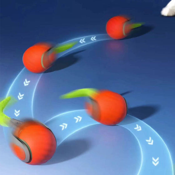 Gravitations-Popboll för Husdjur