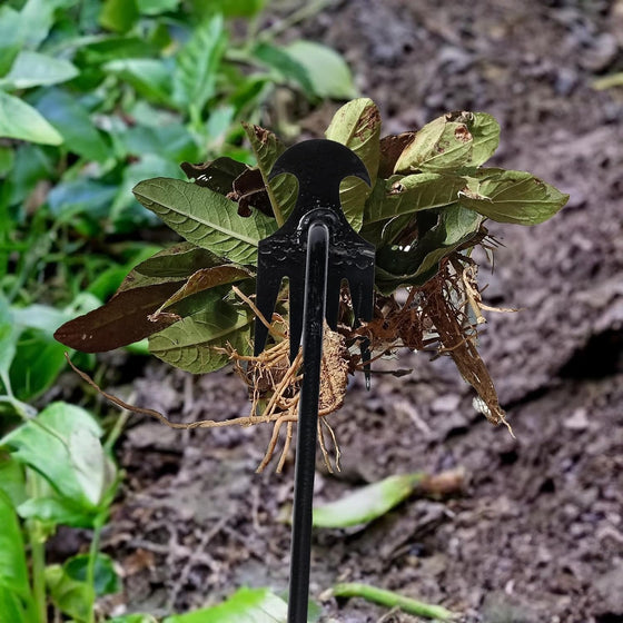 SAKER® Haveredskab til udtrækning af ukrudt