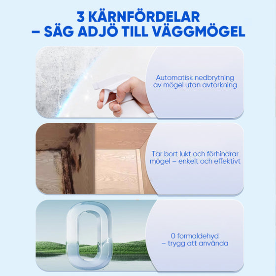 Mögelborttagningsspray