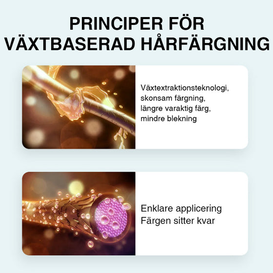 Hårfärgessens med växtextrakt