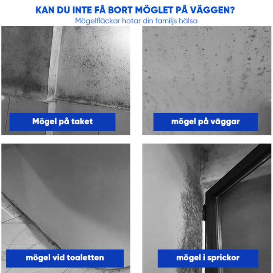 Mögelborttagningsspray