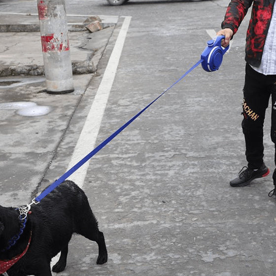 4 i 1 Indragbart koppel för hundar