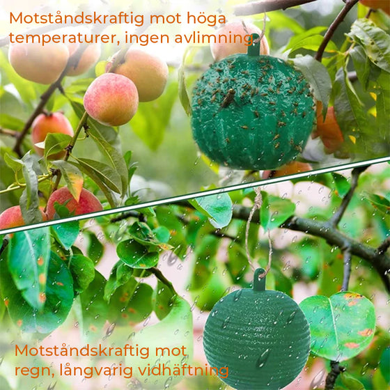 Hängande miljöfruktflugfällor Klibbiga fällor