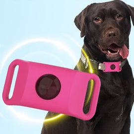 Lopp- och fästinghalsband – Skydd i 12 månader