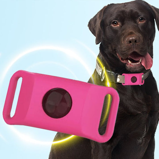 Lopp- och fästinghalsband – Skydd i 12 månader