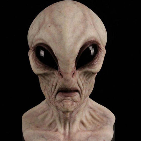 Julpussel Adventskalender