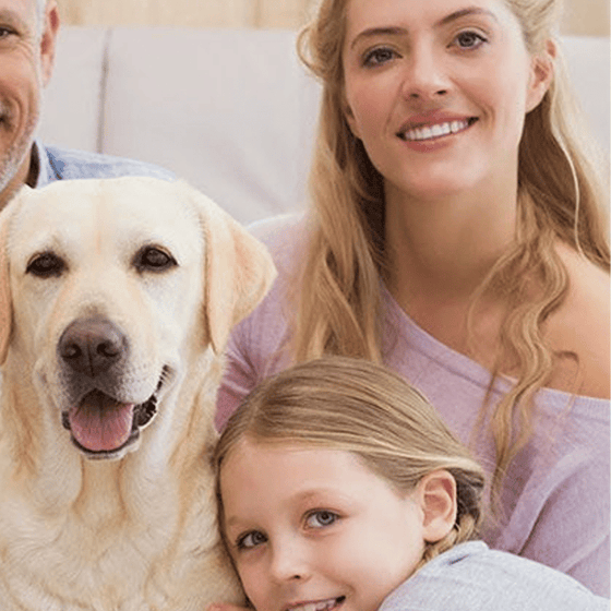 Effektivt Kackerlacksmedel För Hem