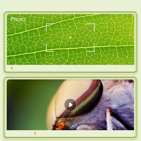 Barnens Vetenskapsutbildningsmikroskop