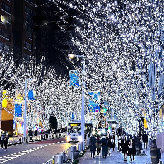 Juldekoration Stämningsbelysning (EU)