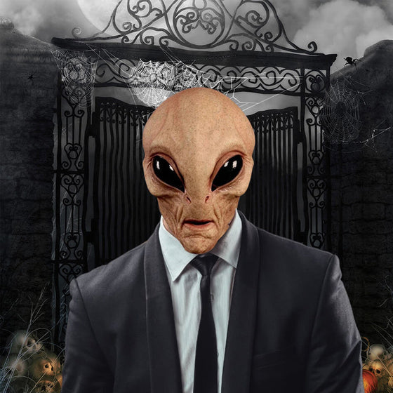 Julpussel Adventskalender