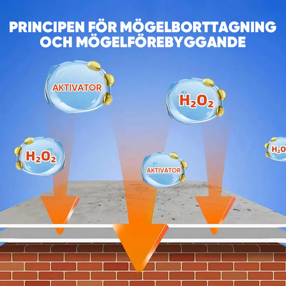 Mögelborttagningsspray