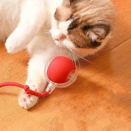 Interaktiv boll för inomhuskatt