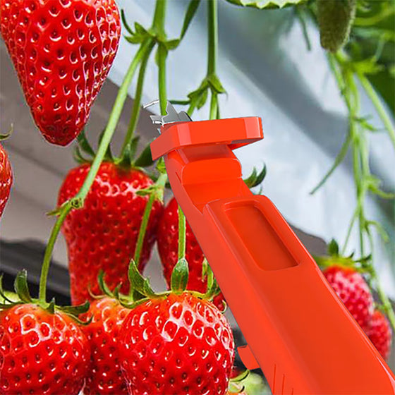 Effektivt verktyg för att samla frukt