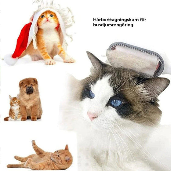 Husdjurshårborttagningskam med vattentank