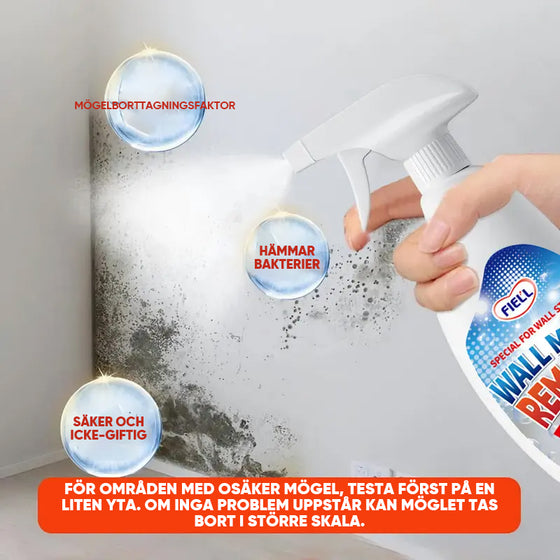 Mögelborttagningsspray
