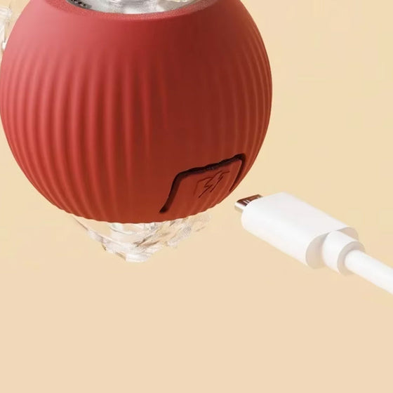 Interaktiv boll för inomhuskatt