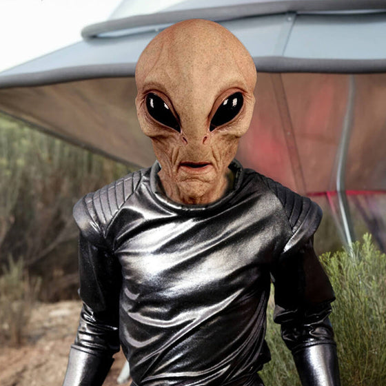 Julpussel Adventskalender