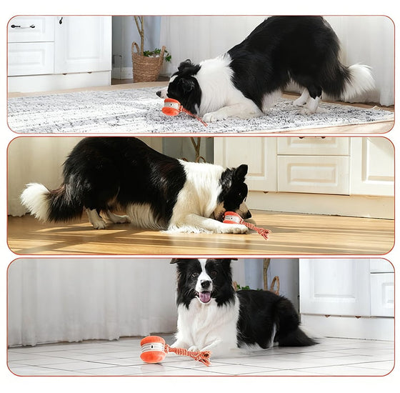 Hundleksak repboll med fågelljud