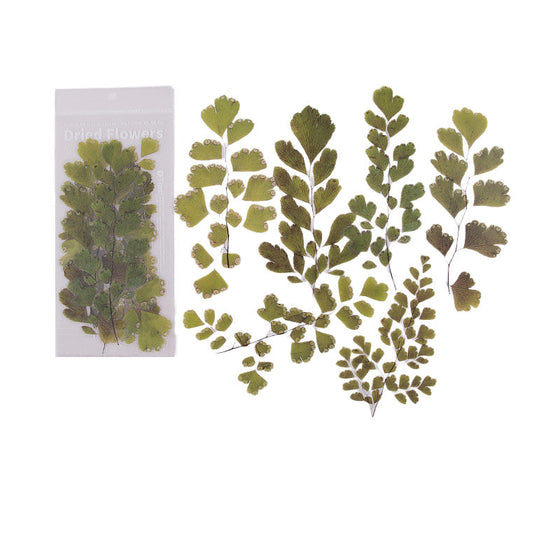 Klistermärken set med torkade blommor