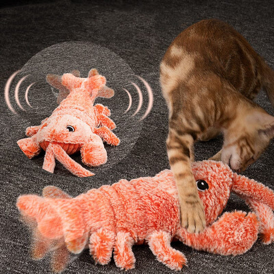 Interaktiv katt- och hundleksak