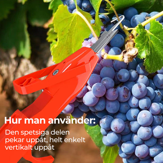Effektivt verktyg för att samla frukt