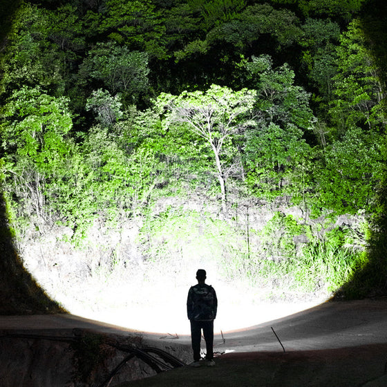 Smart Densor Headlight