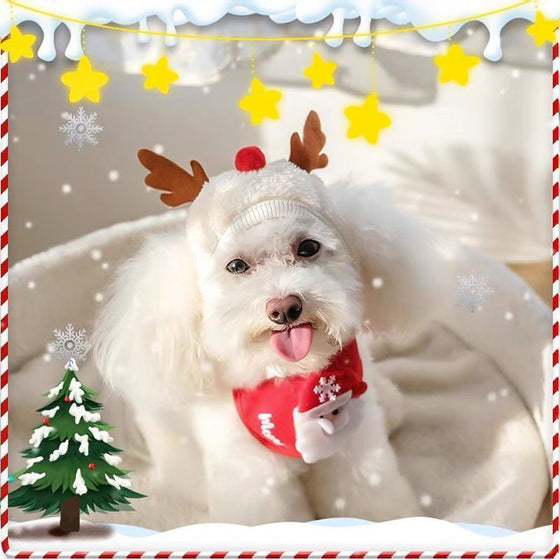 Julkläder för husdjur