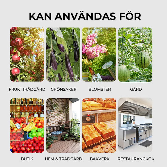 Hängande miljöfruktflugfällor Klibbiga fällor