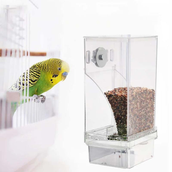 Automatisk genomskinlig fågelmatare utan spill
