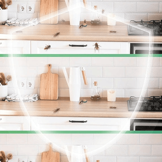 Effektivt Kackerlacksmedel För Hem