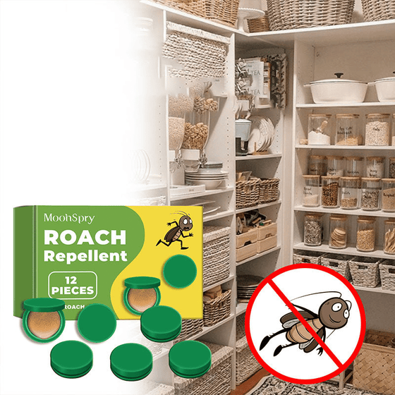 Effektivt Kackerlacksmedel För Hem