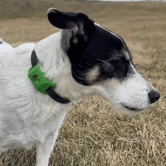 Lopp- och fästinghalsband – Skydd i 12 månader