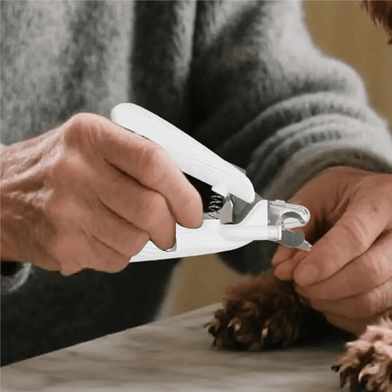 LED-klosax för husdjur med slip