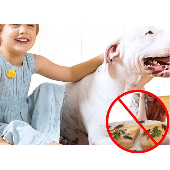 Effektivt Kackerlacksmedel För Hem