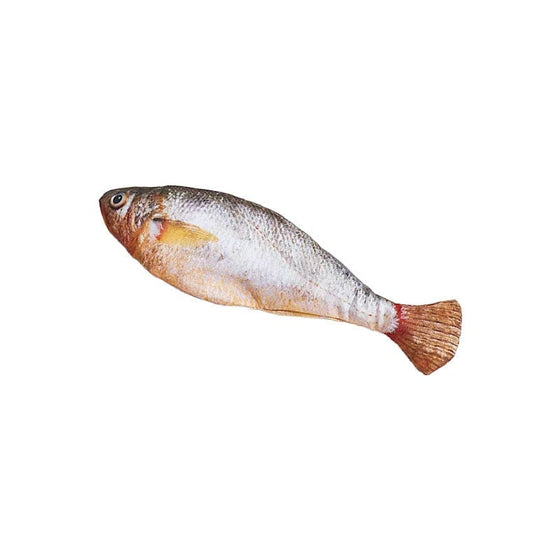 Livsliknande Flaxande Fiskkattleksak
