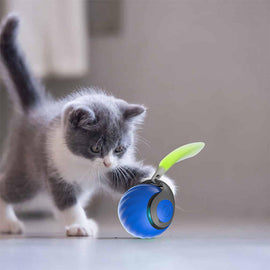 Gravitations-Popboll för Husdjur