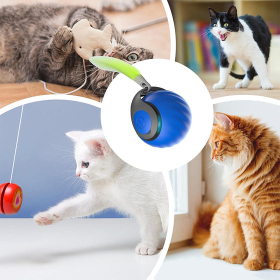 Gravitations-Popboll för Husdjur