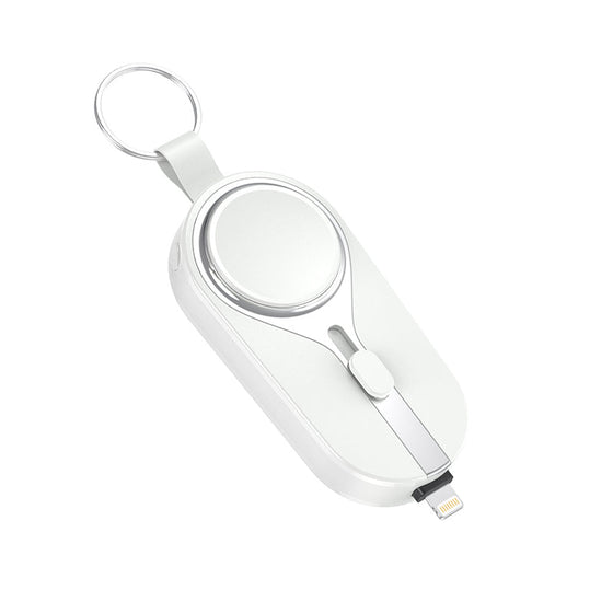 Nödladdare med nyckelring 2-i-1