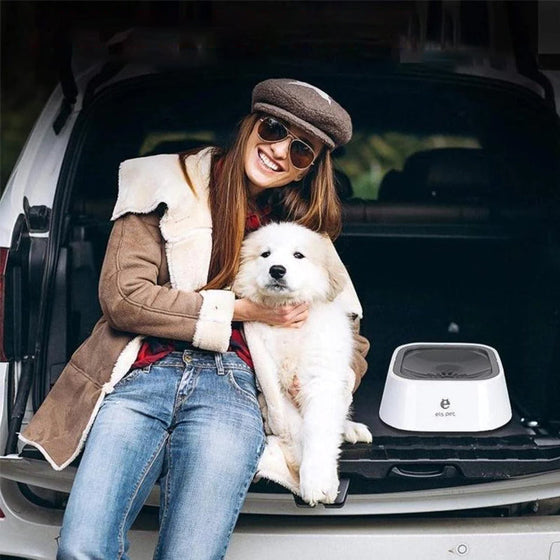 Husdjur Ingen-stänkskål