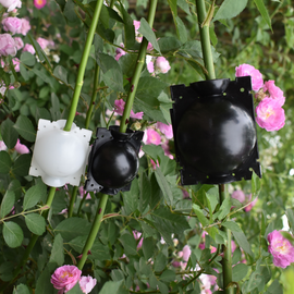 Luftlagring propagator pod