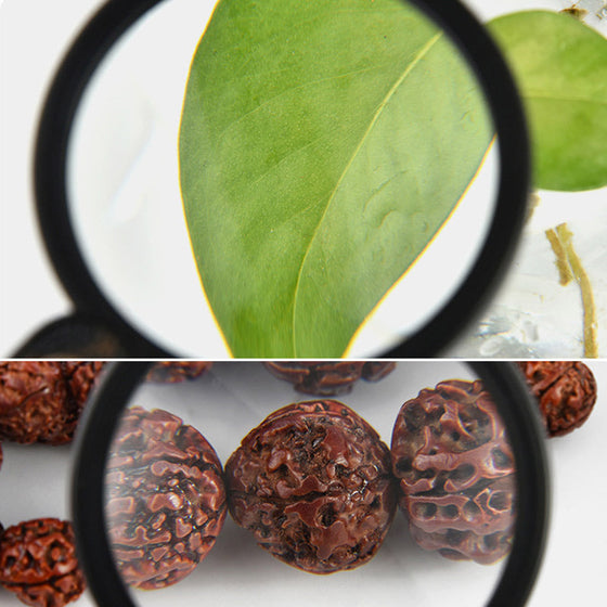 Nytt läderfodral med fällbart förstoringsglas