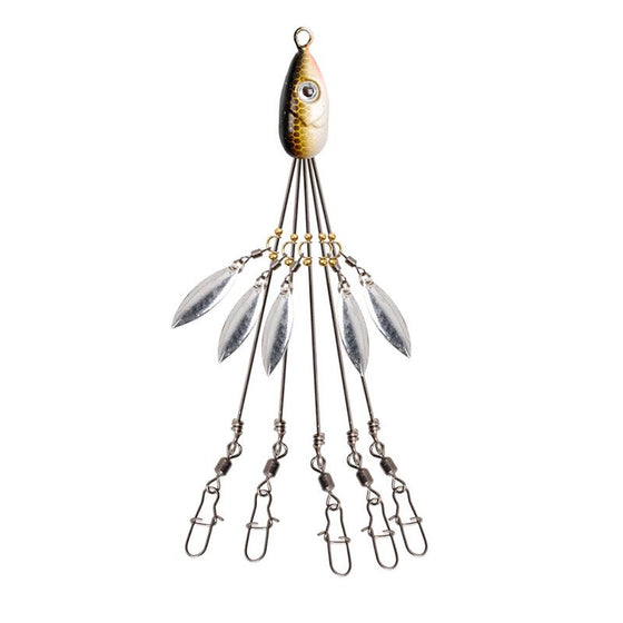 Paraplyrigg | Fiskedrag