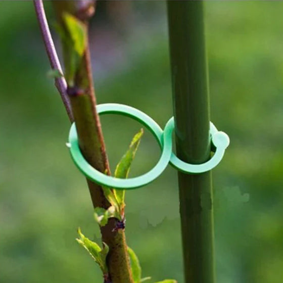 Hållare för trädgårdsväxter