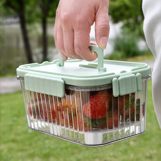 Iskristall Friskhållningslåda