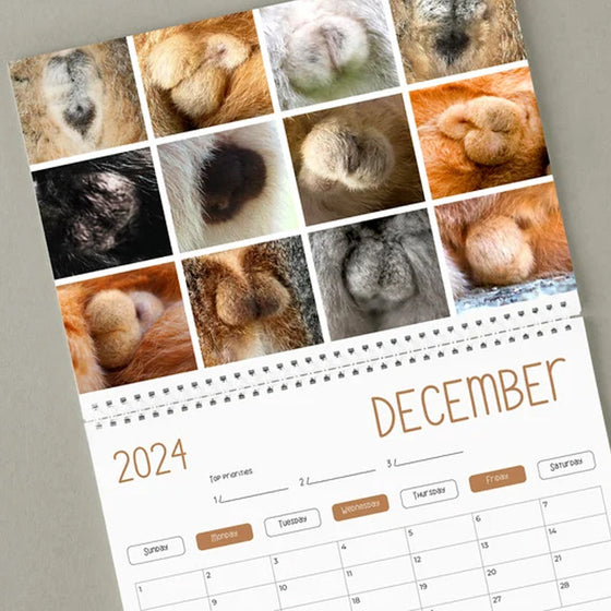 Rolig kattbollskalender 2024