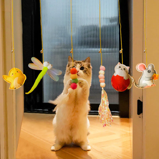 Hängande studsande kattleksak